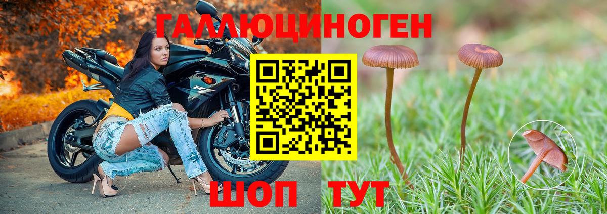 Жуковский  Псилоцибиновые грибы мицелий  Вход с VPN 